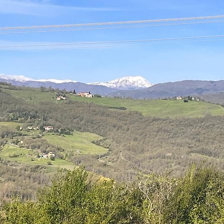 B&B Camelia Camugnano Dış mekan fotoğraf