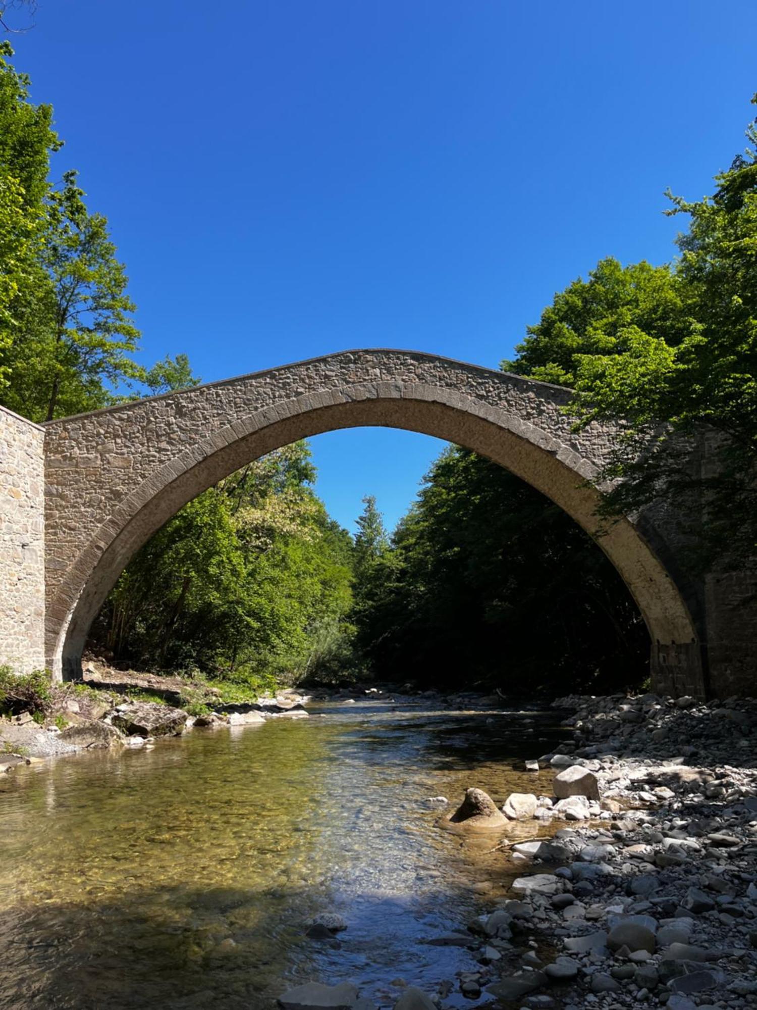 B&B Camelia Camugnano Dış mekan fotoğraf