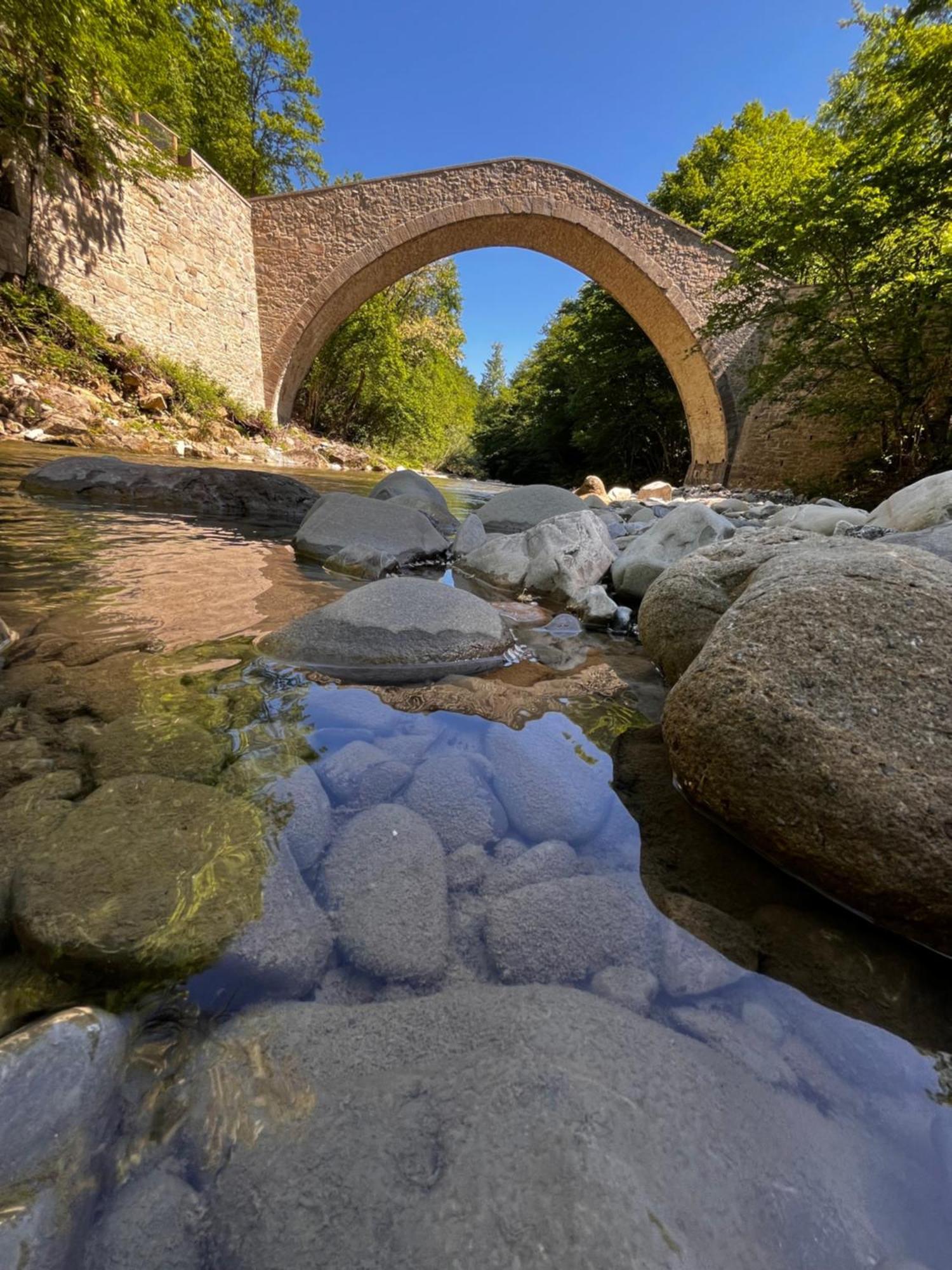 B&B Camelia Camugnano Dış mekan fotoğraf