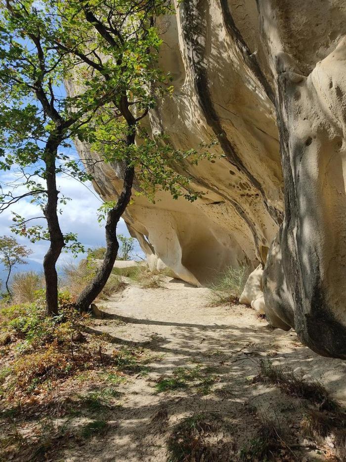 B&B Camelia Camugnano Dış mekan fotoğraf
