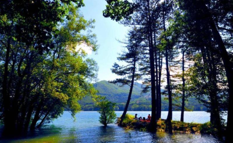 B&B Camelia Camugnano Dış mekan fotoğraf