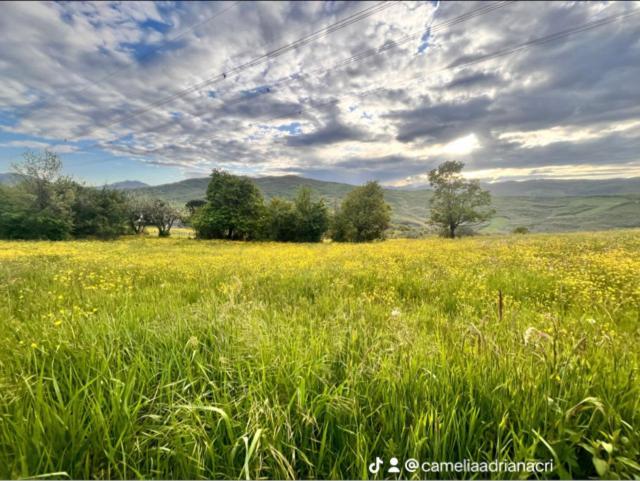 B&B Camelia Camugnano Dış mekan fotoğraf