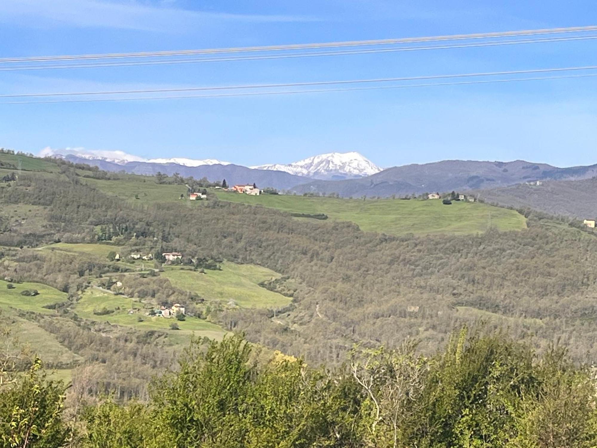 B&B Camelia Camugnano Dış mekan fotoğraf