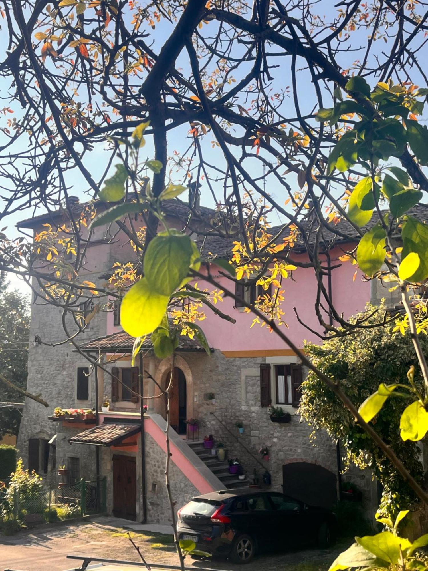 B&B Camelia Camugnano Dış mekan fotoğraf